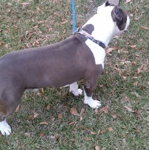 Meet your Posher, James